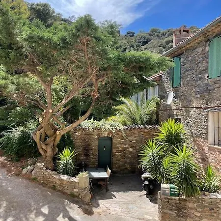 Chez Lily Appartement La Garde-Freinet Buitenkant foto
